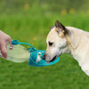 De l'eau pour votre chien
